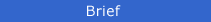 Brief